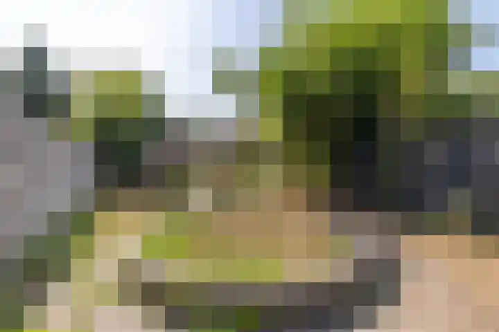 Steenweg 13 Sittard thumbnail 24