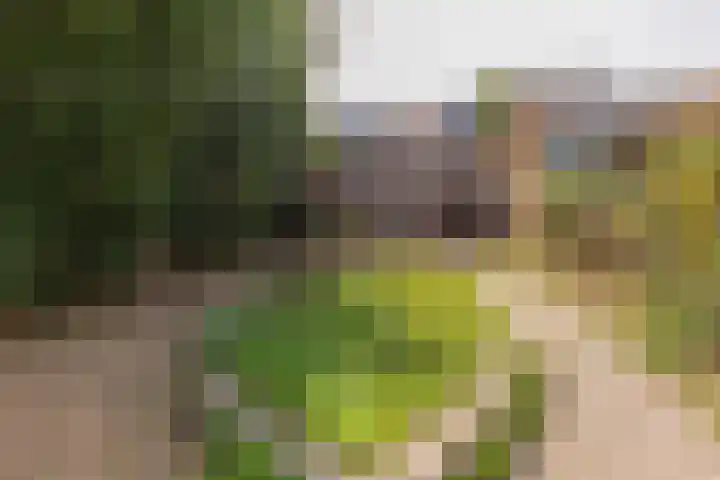 Steenweg 13 Sittard thumbnail 25