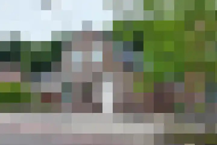Steenweg 21 a Moerdijk thumbnail 49