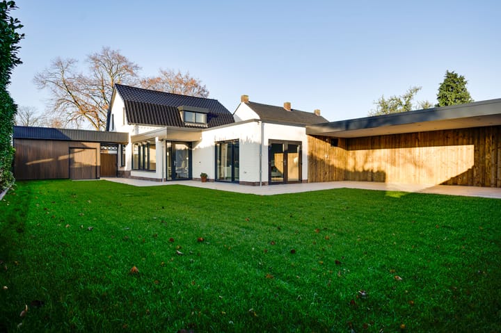 Steer 5 in Nederweert foto