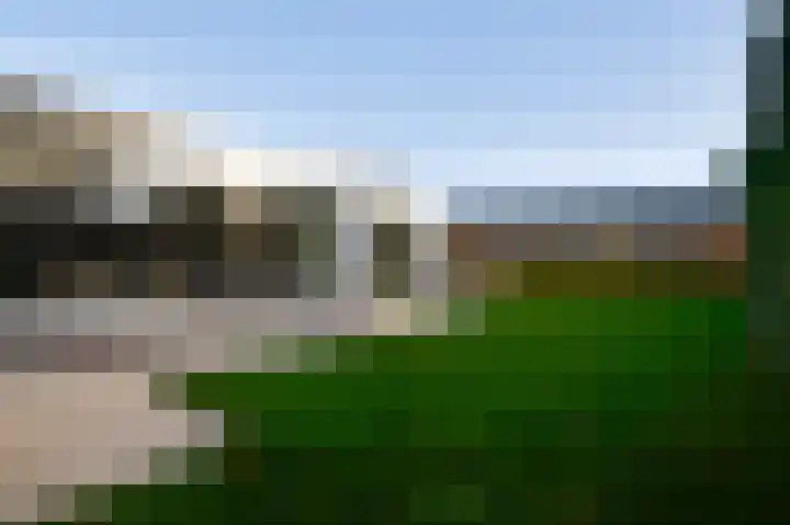 Steer 5 Nederweert thumbnail 28