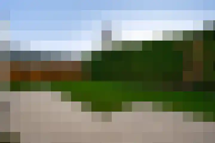 Steer 5 Nederweert thumbnail 30