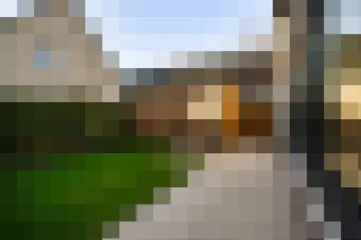 Steer 5 Nederweert thumbnail 31