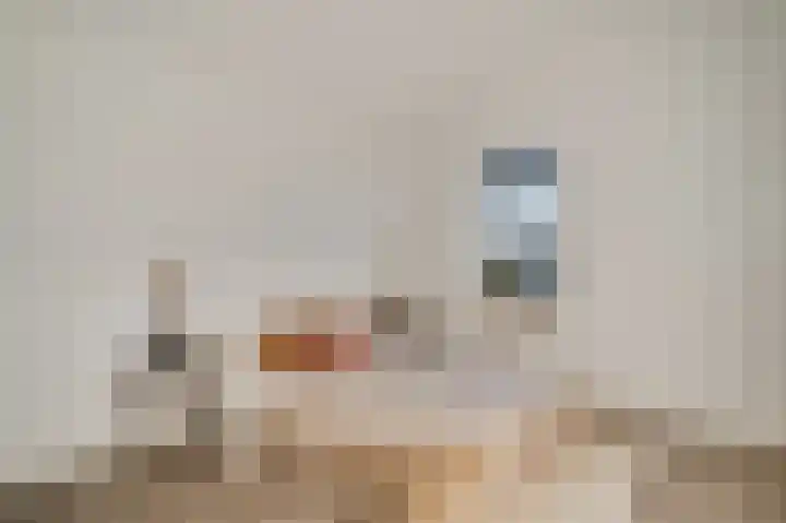 Steer 5 Nederweert thumbnail 37