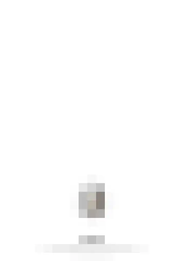 Steer 5 Nederweert thumbnail 43