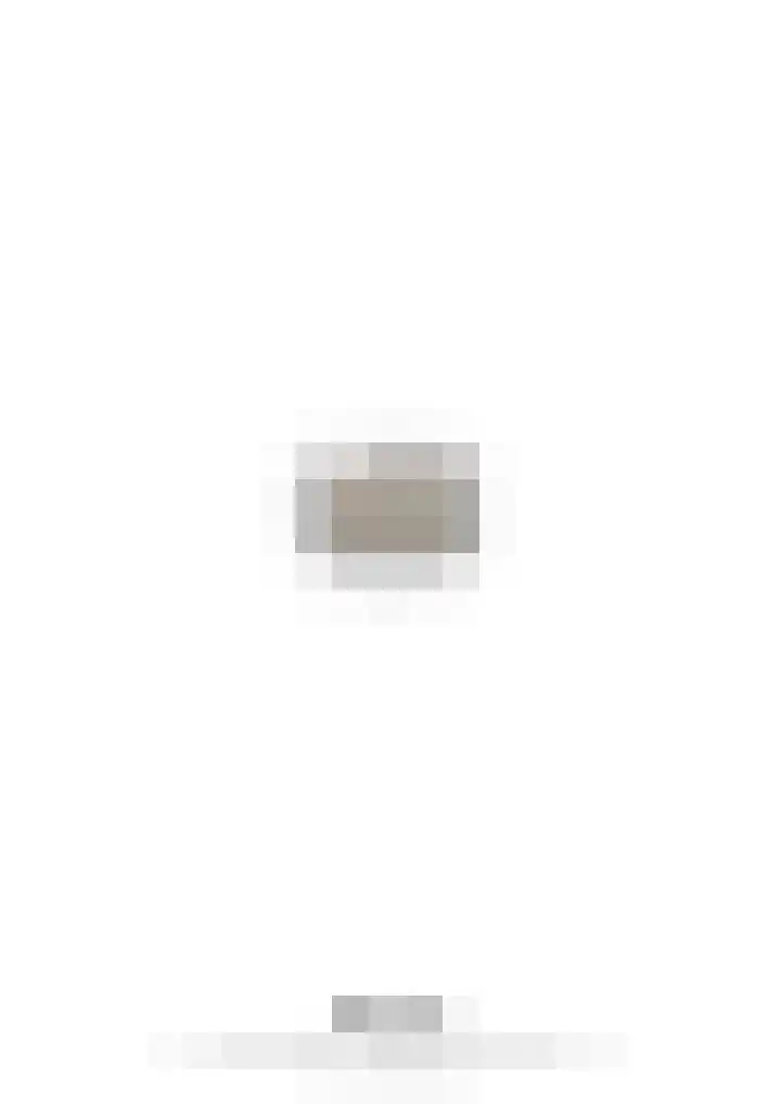 Steer 5 Nederweert thumbnail 44