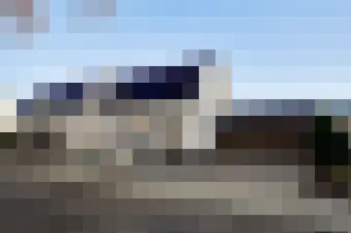 Steer 5 Nederweert thumbnail 5