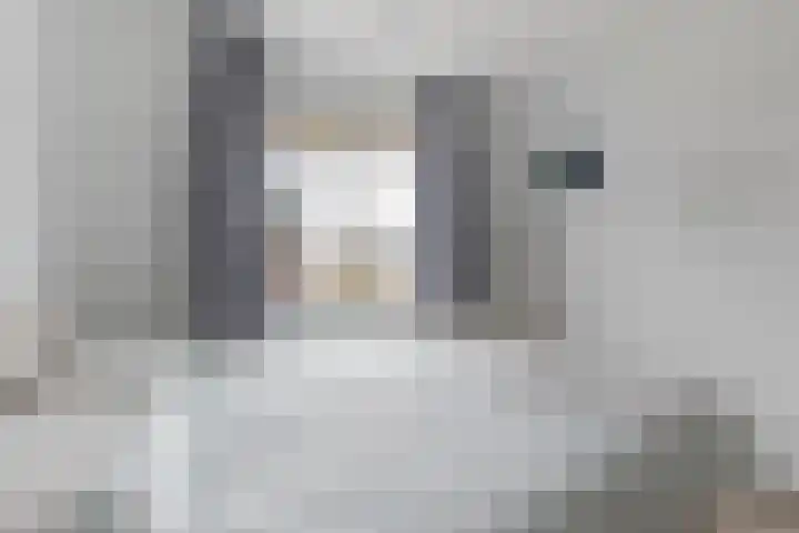 Steertweide 5 Alkmaar thumbnail 16