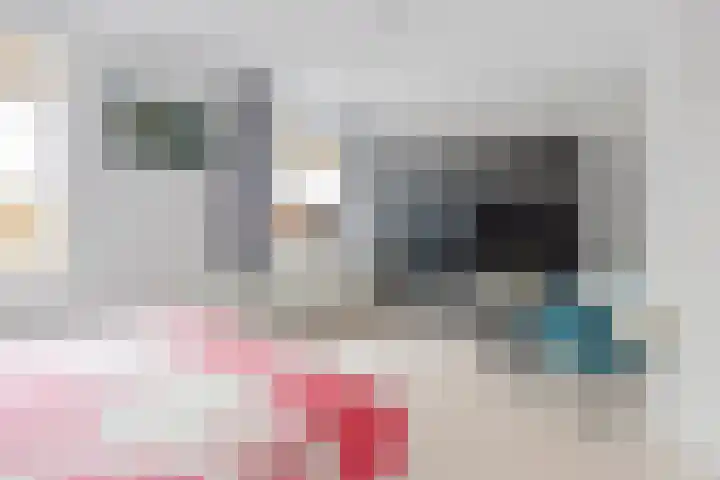 Steertweide 5 Alkmaar thumbnail 19