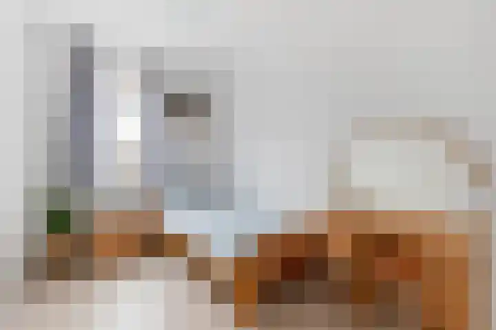 Steertweide 5 Alkmaar thumbnail 20