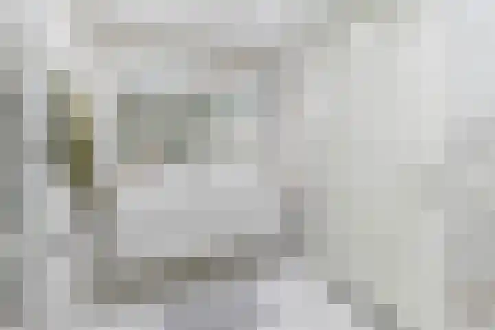 Steertweide 5 Alkmaar thumbnail 23