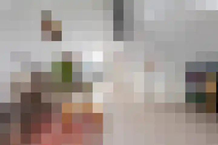 Steertweide 5 Alkmaar thumbnail 24