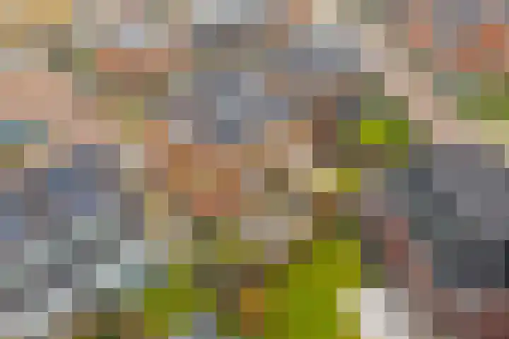Steertweide 5 Alkmaar thumbnail 33