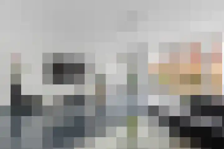 Steertweide 5 Alkmaar thumbnail 4