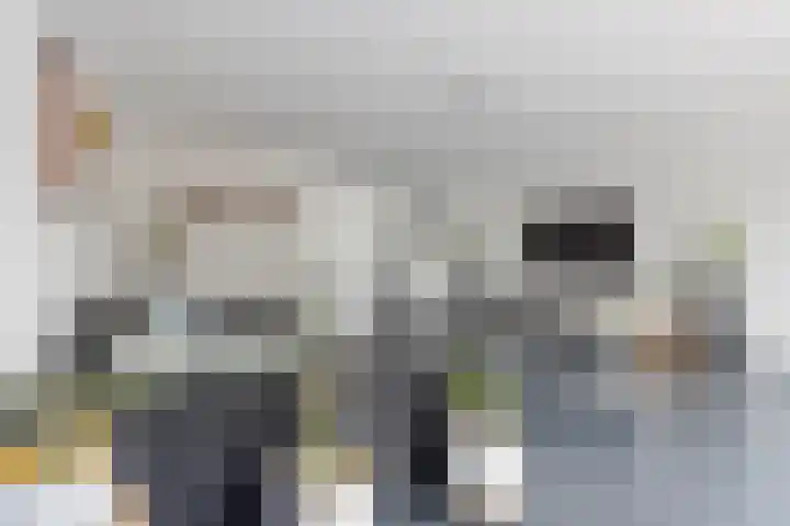 Steertweide 5 Alkmaar thumbnail 5