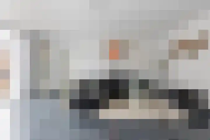 Steertweide 5 Alkmaar thumbnail 7