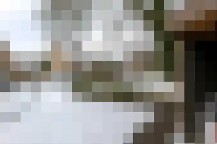 Steffensberg 19 Westerbork thumbnail 6
