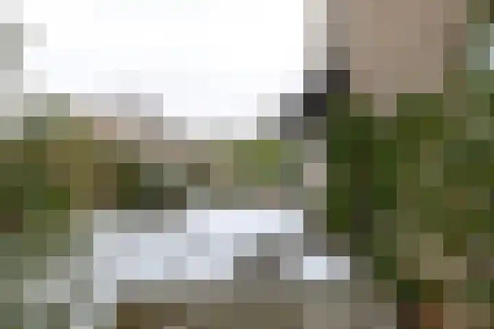 Steffensberg 19 Westerbork thumbnail 7