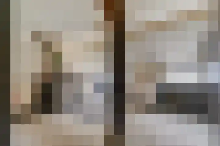 Steginksweg 9 Bathmen thumbnail 13