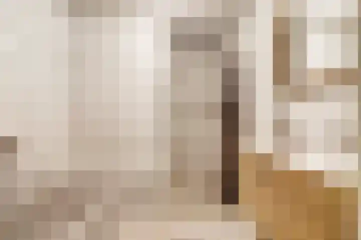 Steginksweg 9 Bathmen thumbnail 14