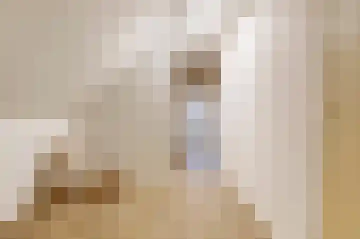 Steginksweg 9 Bathmen thumbnail 16