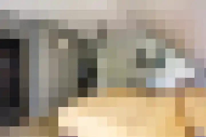 Steginksweg 9 Bathmen thumbnail 19