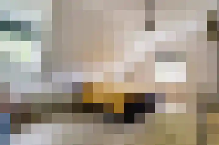 Steginksweg 9 Bathmen thumbnail 20