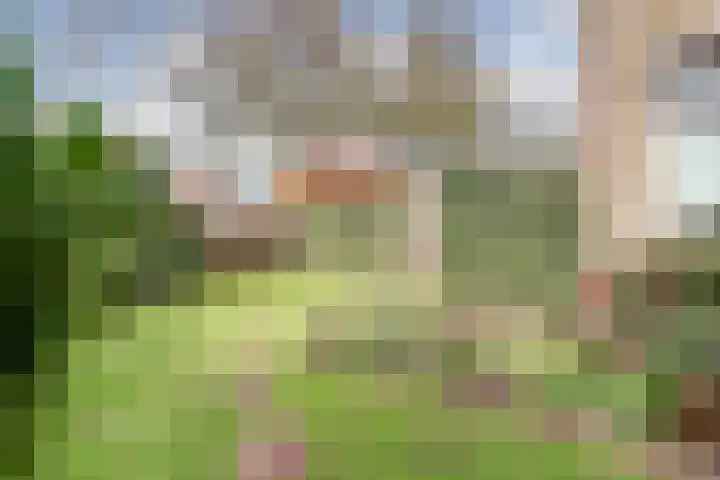 Steginksweg 9 Bathmen thumbnail 21