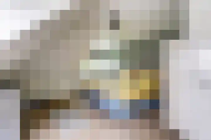 Steginksweg 9 Bathmen thumbnail 21
