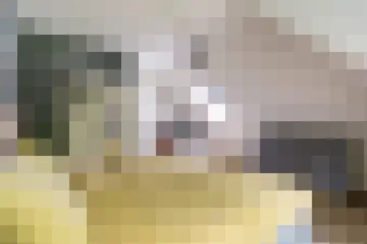 Steginksweg 9 Bathmen thumbnail 22