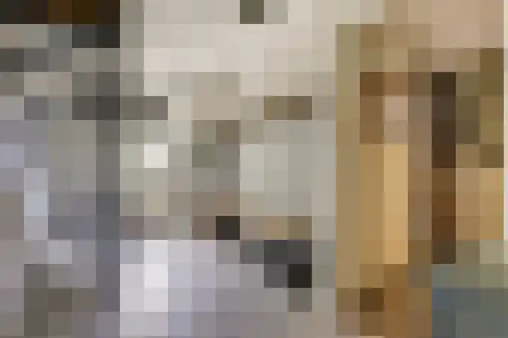 Steginksweg 9 Bathmen foto 3