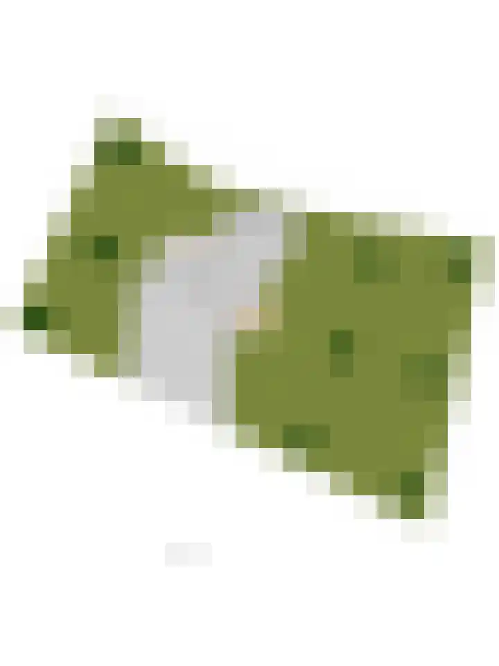 Steginksweg 9 Bathmen thumbnail 30