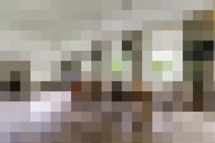Steginksweg 9 Bathmen thumbnail 4