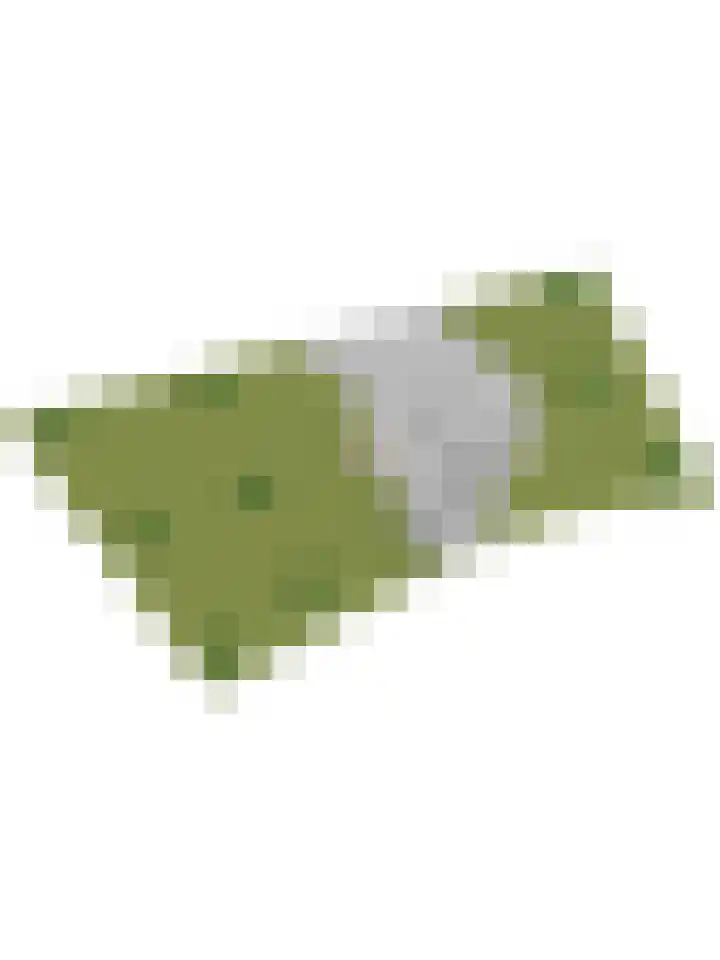 Steginksweg 9 Bathmen thumbnail 40