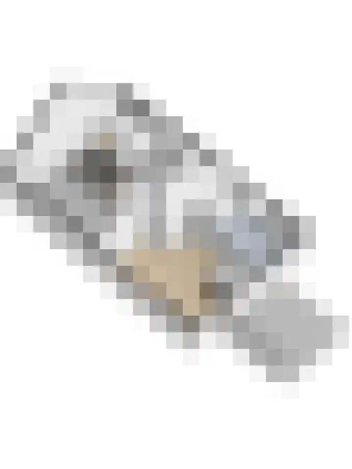 Steginksweg 9 Bathmen thumbnail 42