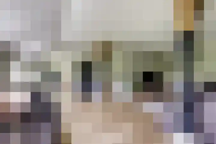 Steginksweg 9 Bathmen thumbnail 5