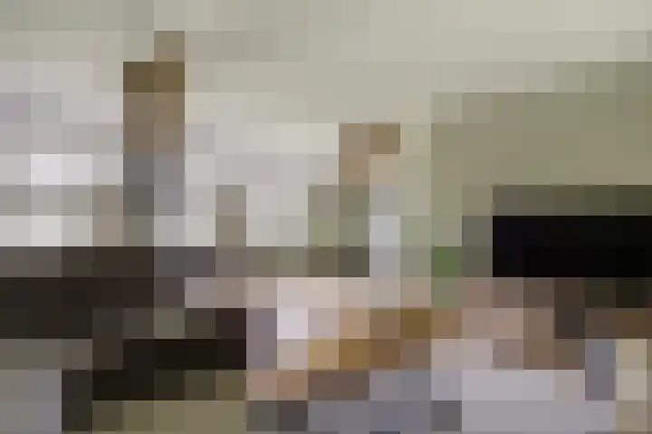 Steginksweg 9 Bathmen thumbnail 6