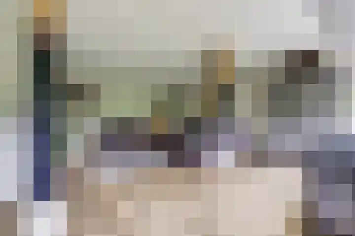 Steginksweg 9 Bathmen thumbnail 8