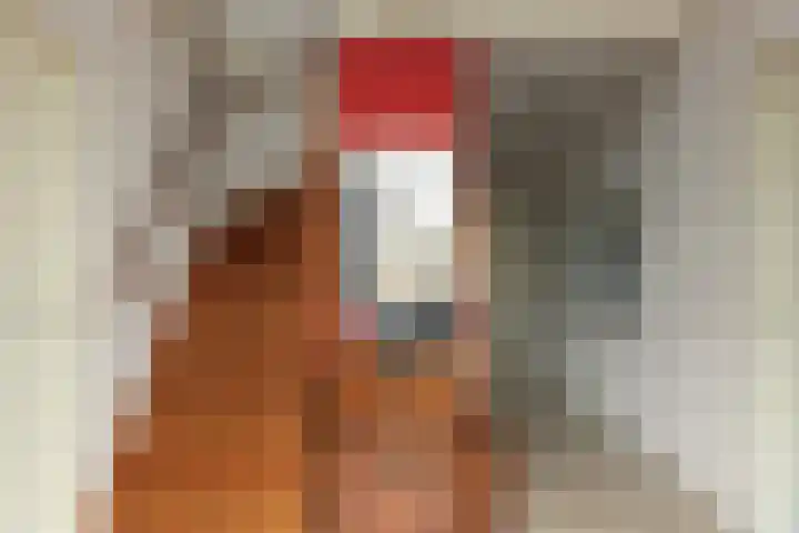 Steiger 10 Joure thumbnail 18