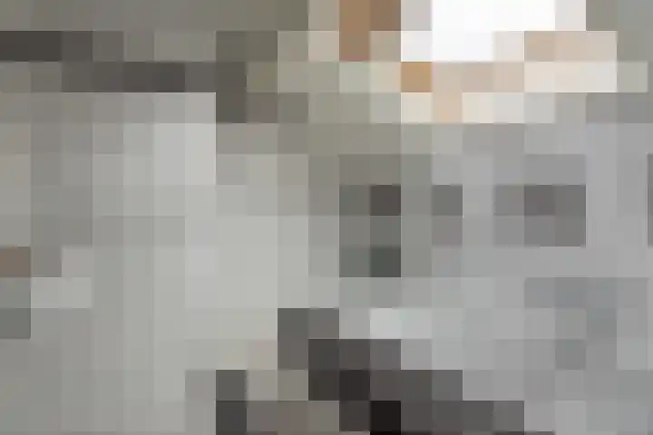 Steiger 10 Joure thumbnail 24