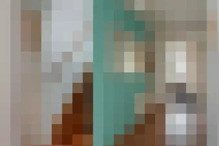 Steiger 10 Joure thumbnail 27