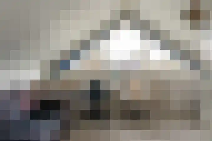 Steiger 10 Joure thumbnail 30