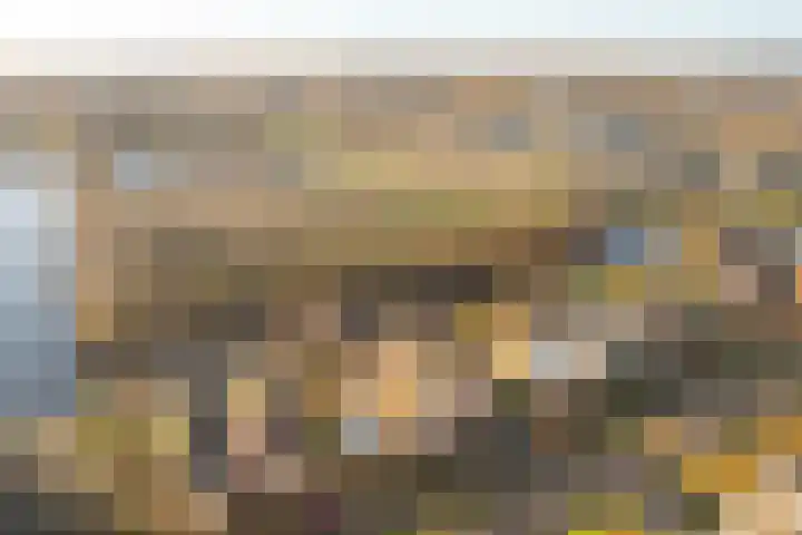 Steiger 10 Joure thumbnail 34