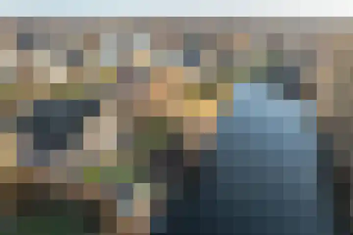 Steiger 10 Joure thumbnail 36
