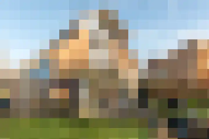 Steiger 10 Joure thumbnail 37