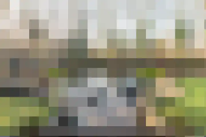Steiger 10 Joure thumbnail 38