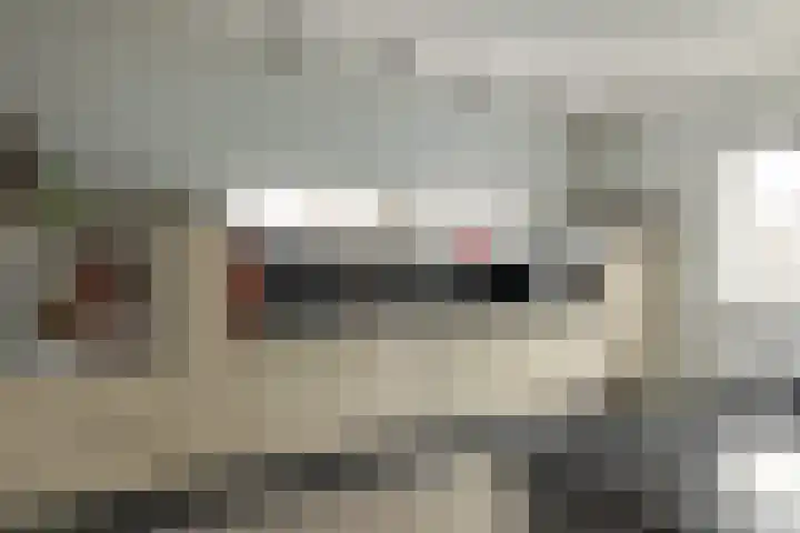 Steiger 10 Joure thumbnail 4