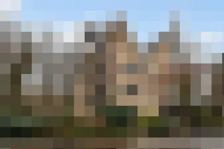Steijnlaan 13 H in Hilversum