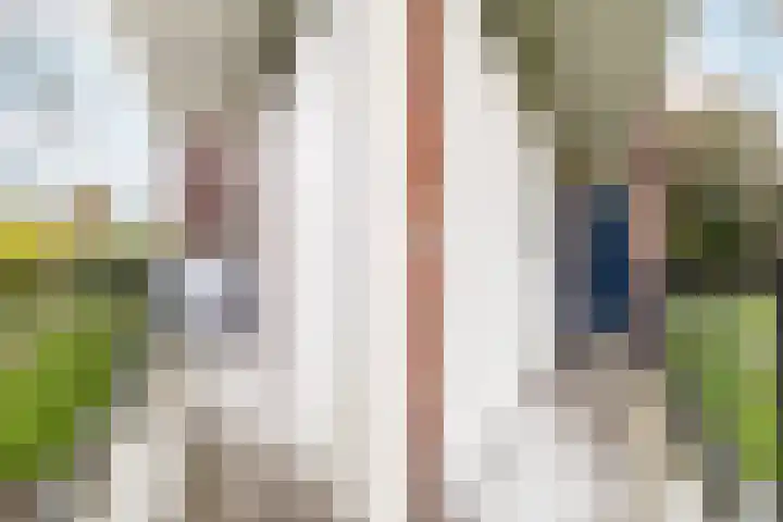 Steijnlaan 72 Breda thumbnail 10