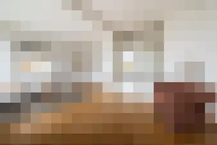 Steijnlaan 72 Breda thumbnail 11
